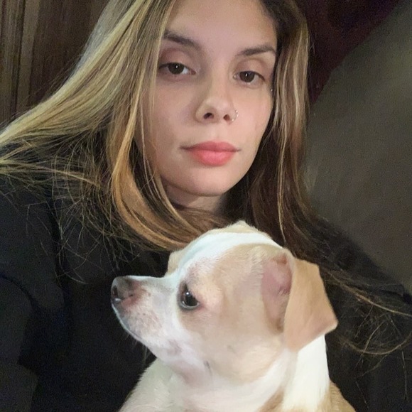stephoneyimhome